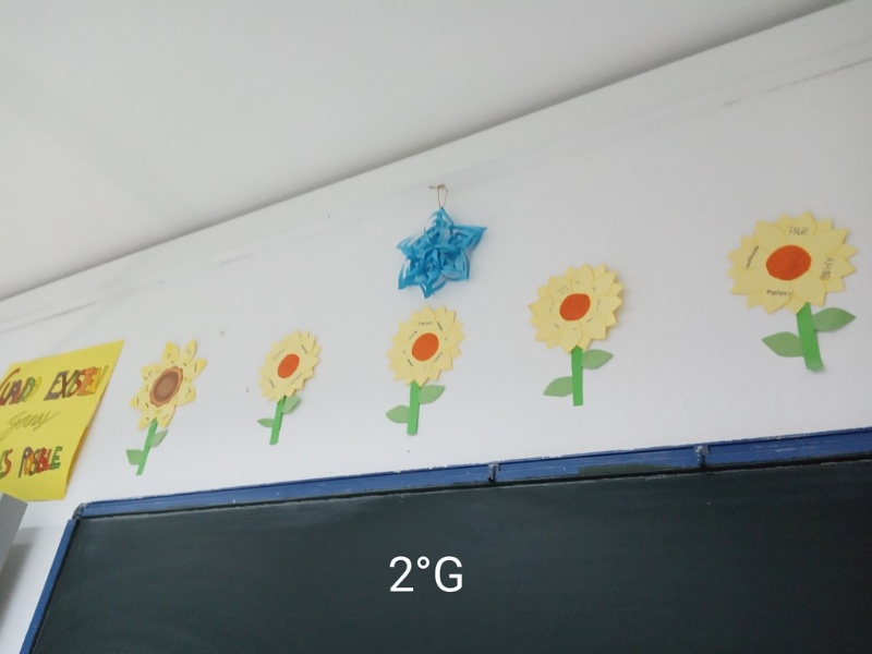 IMG 20191218 122326 (Copy)